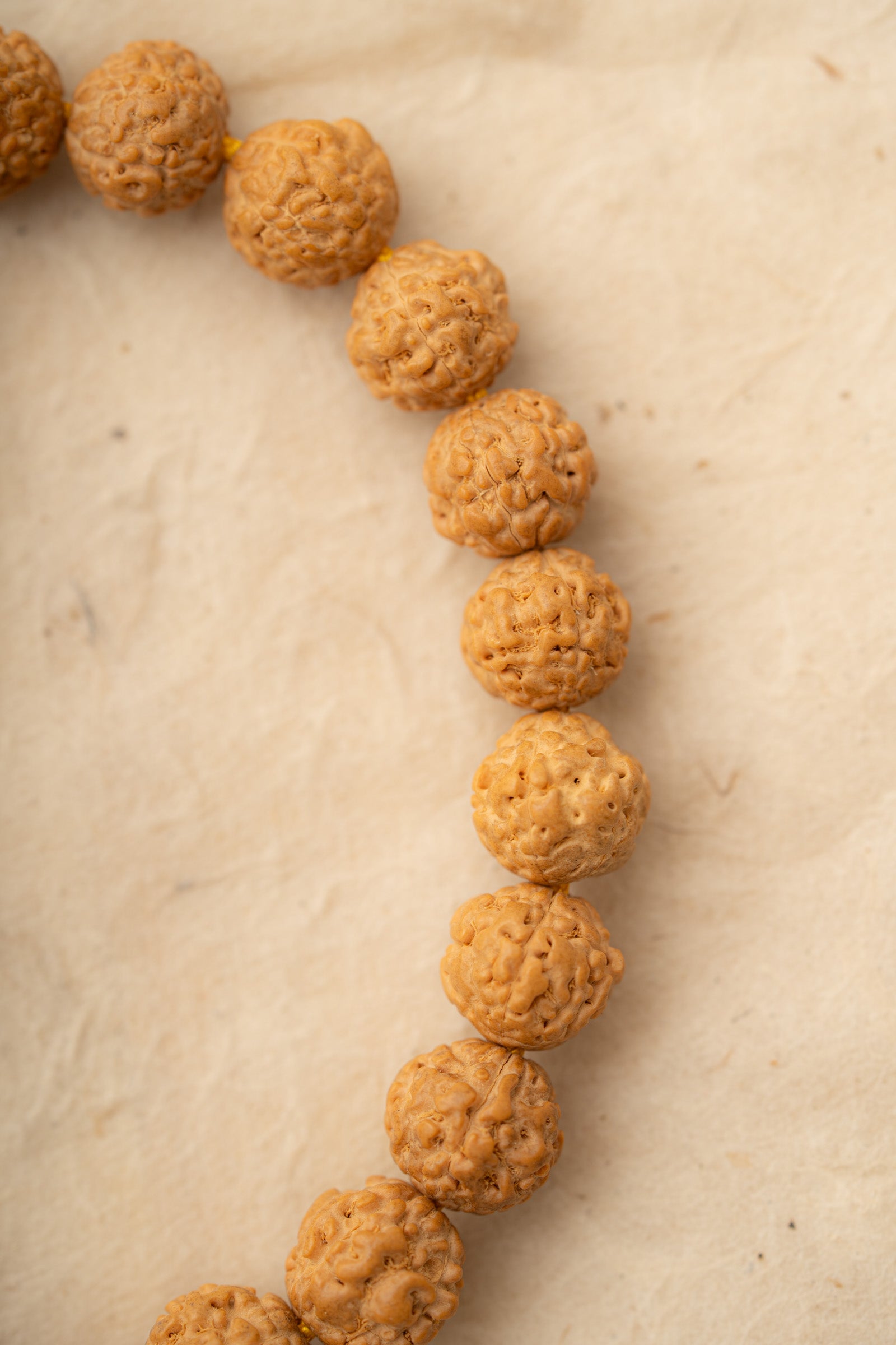 Natural Rudraksha Bead Bracelet